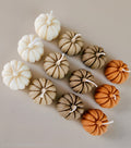 Pumpkins all colours