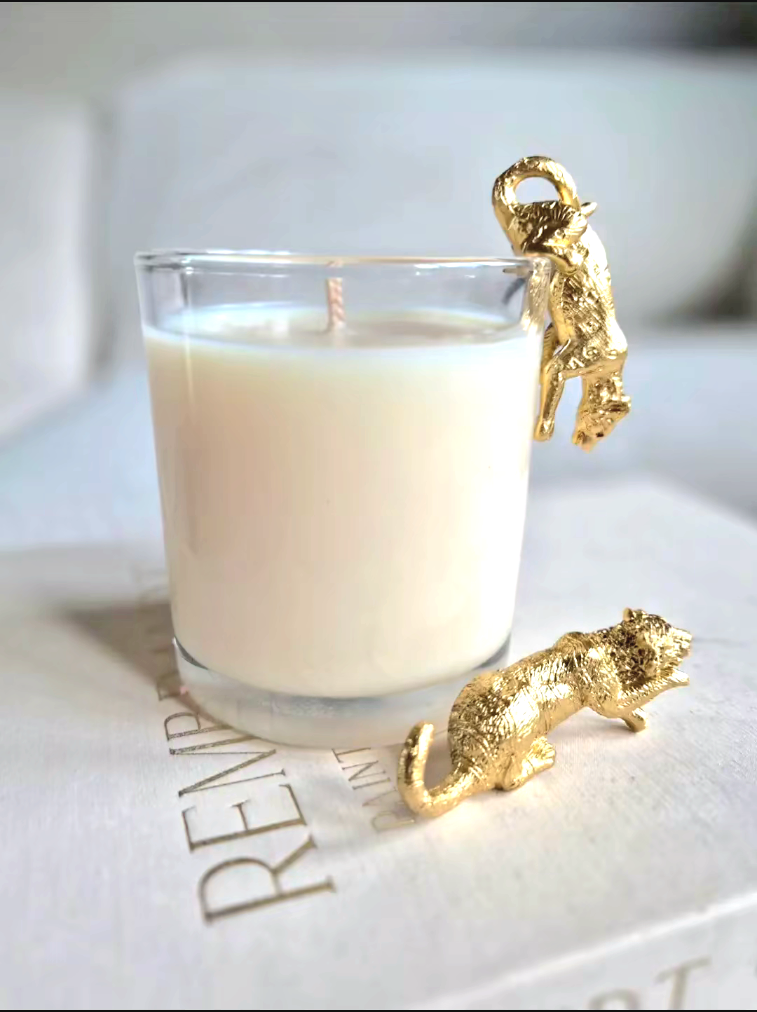 Decoratie tijgers